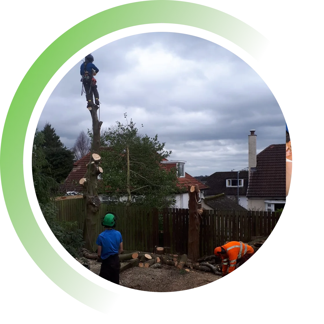 Tree Surgery Team 5