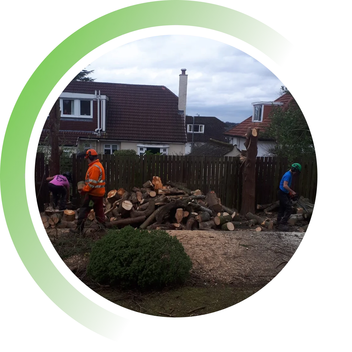 Trusted Tree Surgery Team img1