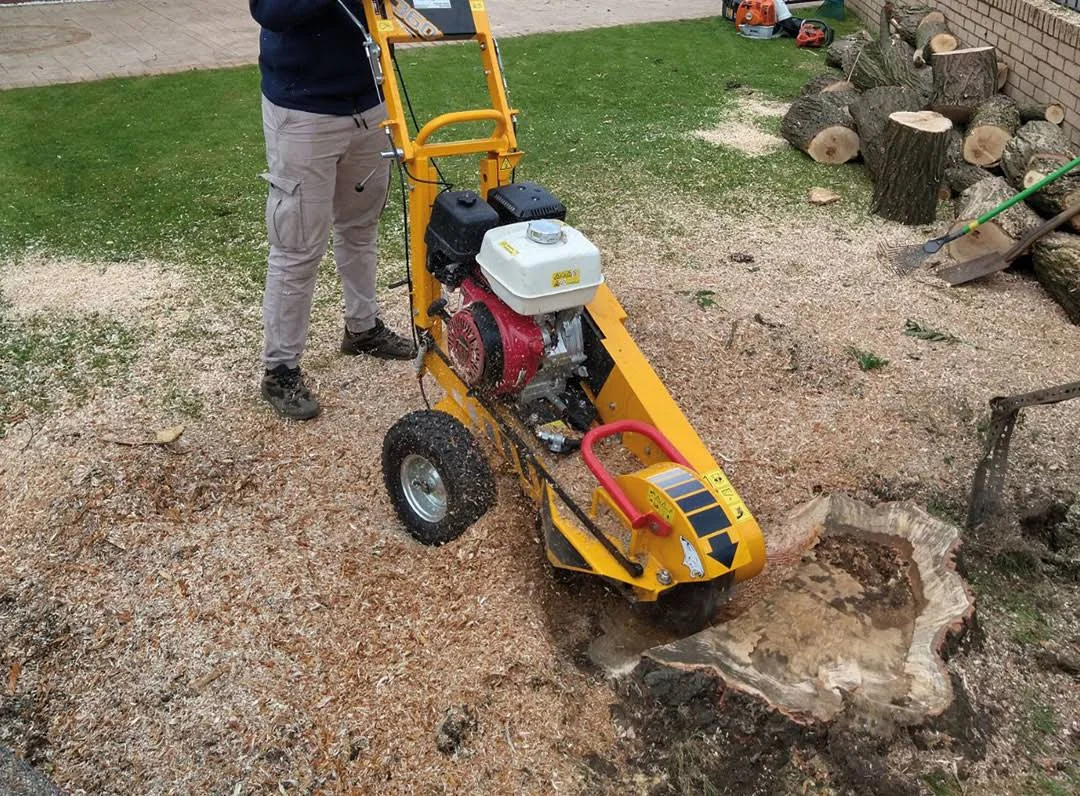 tree removal img1